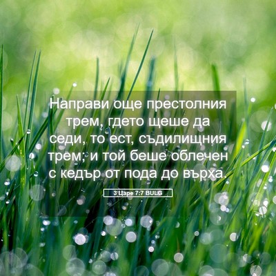 Picture 05 - 3 Царе 7:7 BULG - Направи още престолния - Bible Verse Picture