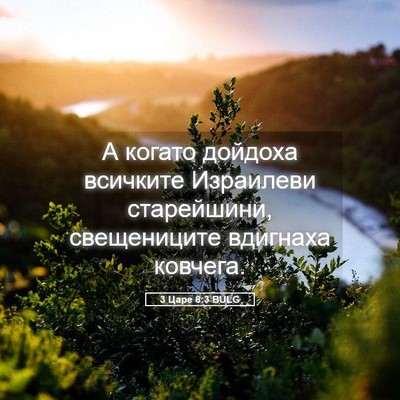 Picture 05 - 3 Царе 8:3 BULG - А когато дойдоха всичките - Bible Verse Picture