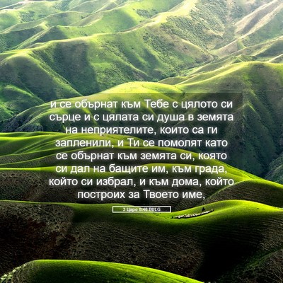 Picture 05 - 3 Царе 8:48 BULG - и се обърнат към Тебе с - Bible Verse Picture