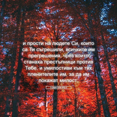 Picture 05 - 3 Царе 8:50 BULG - и прости на людете Си, - Bible Verse Picture