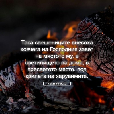 Picture 05 - 3 Царе 8:6 BULG - Така свещениците внесоха - Bible Verse Picture
