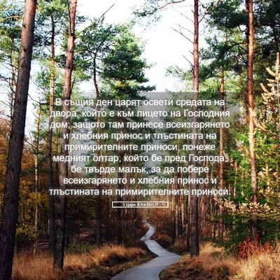 Picture 05 - 3 Царе 8:64 BULG - В същия ден царят освети - Bible Verse Picture