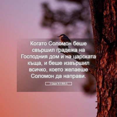 Picture 05 - 3 Царе 9:1 BULG - Когато Соломон беше - Bible Verse Picture
