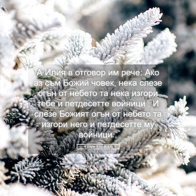 Picture 05 - 4 Царе 1:12 BULG - А Илия в отговор им рече: - Bible Verse Picture