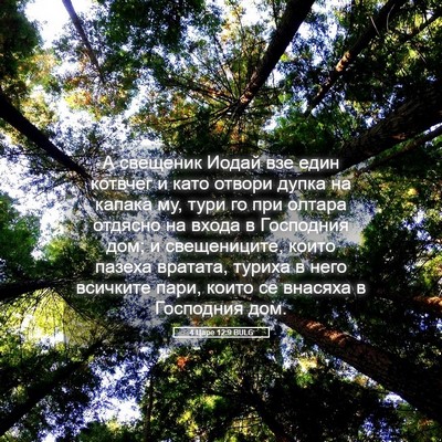 Picture 05 - 4 Царе 12:9 BULG - А свещеник Иодай взе един - Bible Verse Picture