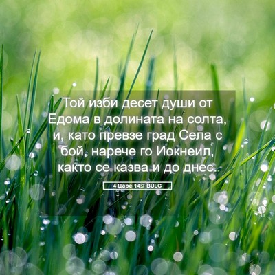 Picture 05 - 4 Царе 14:7 BULG - Той изби десет души от - Bible Verse Picture