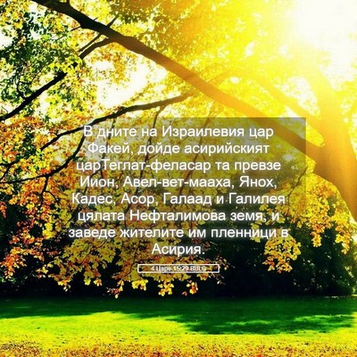 Picture 05 - 4 Царе 15:29 BULG - В дните на Израилевия цар - Bible Verse Picture