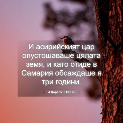 Picture 05 - 4 Царе 17:5 BULG - И асирийският цар - Bible Verse Picture