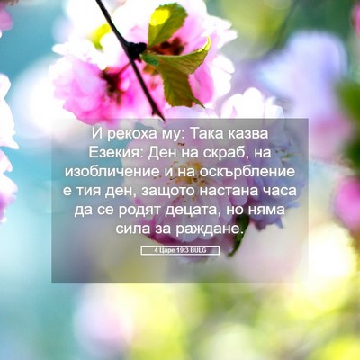 Picture 05 - 4 Царе 19:3 BULG - И рекоха му: Така казва - Bible Verse Picture