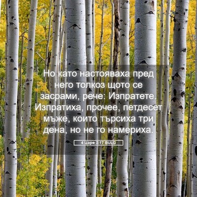 Picture 05 - 4 Царе 2:17 BULG - Но като настояваха пред - Bible Verse Picture