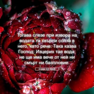 Picture 05 - 4 Царе 2:21 BULG - Тогава слезе при извора на - Bible Verse Picture