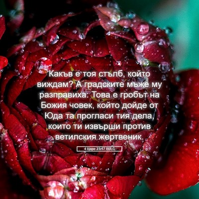 Picture 05 - 4 Царе 23:17 BULG - Какъв е тоя стълб, който - Bible Verse Picture