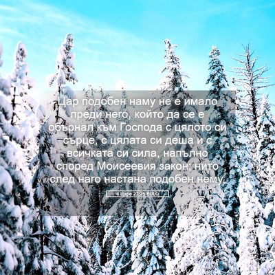 Picture 05 - 4 Царе 23:25 BULG - Цар подобен наму не е имало - Bible Verse Picture