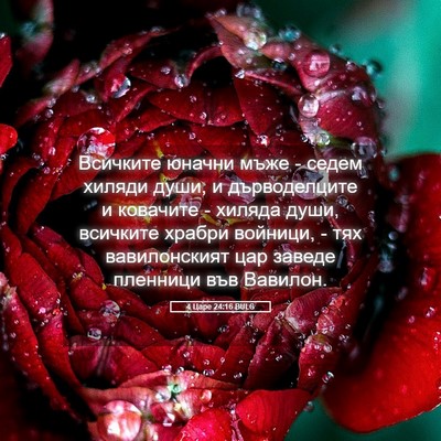 Picture 05 - 4 Царе 24:16 BULG - Всичките юначни мъже - - Bible Verse Picture