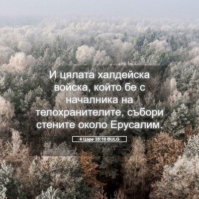 Picture 05 - 4 Царе 25:10 BULG - И цялата халдейска войска, - Bible Verse Picture