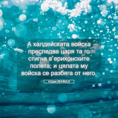 Picture 05 - 4 Царе 25:5 BULG - А халдейската войска - Bible Verse Picture