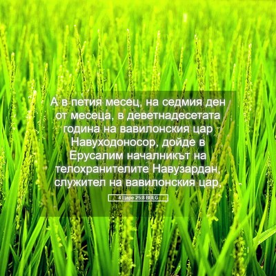 Picture 05 - 4 Царе 25:8 BULG - А в петия месец, на седмия - Bible Verse Picture