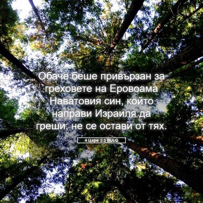 Picture 05 - 4 Царе 3:3 BULG - Обаче беше привързан за - Bible Verse Picture
