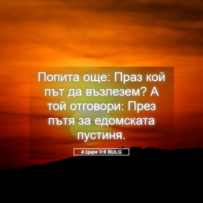 Picture 05 - 4 Царе 3:8 BULG - Попита още: Праз кой път да - Bible Verse Picture