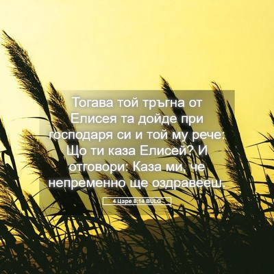 Picture 05 - 4 Царе 8:14 BULG - Тогава той тръгна от - Bible Verse Picture