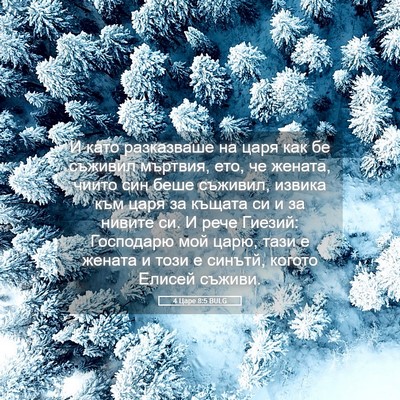 Picture 05 - 4 Царе 8:5 BULG - И като разказваше на царя - Bible Verse Picture