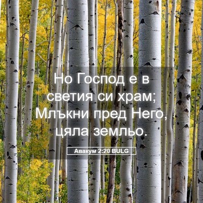 Picture 05 - Авакум 2:20 BULG - Но Господ е в светия си - Bible Verse Picture