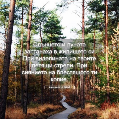 Picture 05 - Авакум 3:11 BULG - Слънцето и луната - Bible Verse Picture