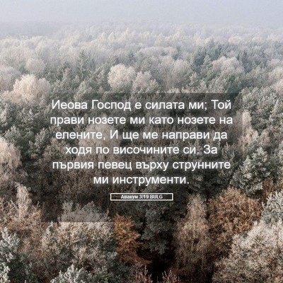 Picture 05 - Авакум 3:19 BULG - Иеова Господ е силата ми; - Bible Verse Picture