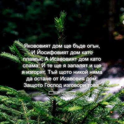 Picture 05 - Авдий 1:18 BULG - Якововият дом ще бъде огън, - Bible Verse Picture