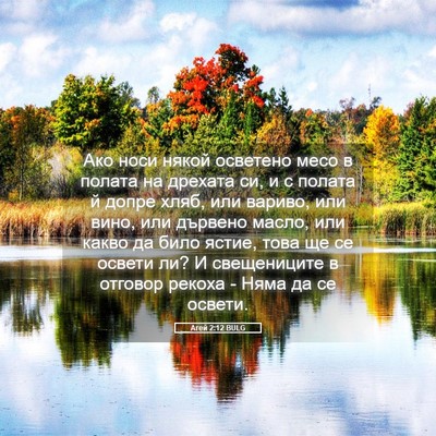 Picture 05 - Агей 2:12 BULG - Ако носи някой осветено - Bible Verse Picture