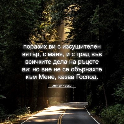 Picture 05 - Агей 2:17 BULG - поразих ви с изсушителен - Bible Verse Picture
