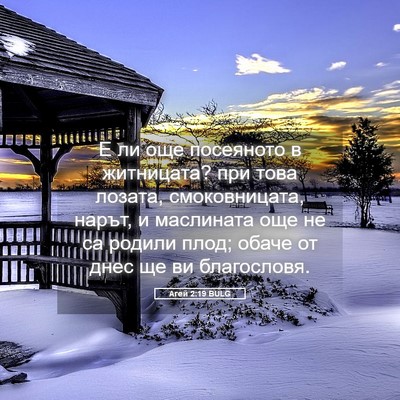 Picture 05 - Агей 2:19 BULG - Е ли още посеяното в - Bible Verse Picture