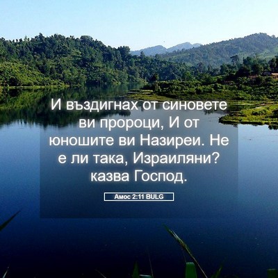 Picture 05 - Амос 2:11 BULG - И въздигнах от синовете ви - Bible Verse Picture