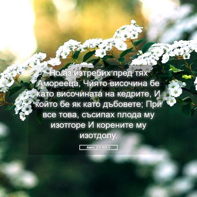 Picture 05 - Амос 2:9 BULG - Но аз изтребих пред тях - Bible Verse Picture