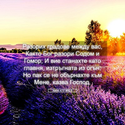 Picture 05 - Амос 4:11 BULG - Разорих градове между вас, - Bible Verse Picture