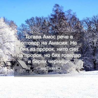 Picture 05 - Амос 7:14 BULG - Тогава Амос рече в отговор - Bible Verse Picture