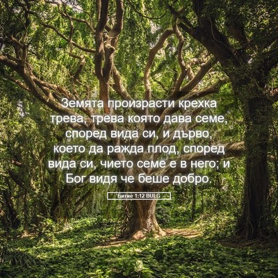 Picture 05 - Битие 1:12 BULG - Земята произрасти крехка - Bible Verse Picture