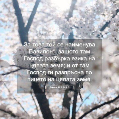 Picture 05 - Битие 11:9 BULG - За това той се наименува - Bible Verse Picture