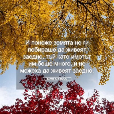 Picture 05 - Битие 13:6 BULG - И понеже земята не ги - Bible Verse Picture
