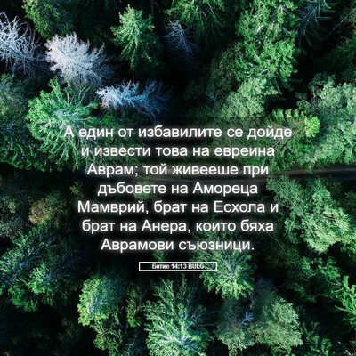 Picture 05 - Битие 14:13 BULG - А един от избавилите се - Bible Verse Picture