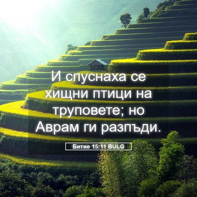Picture 05 - Битие 15:11 BULG - И спуснаха се хищни птици - Bible Verse Picture