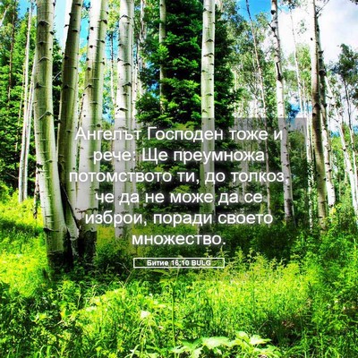 Picture 05 - Битие 16:10 BULG - Ангелът Господен тоже и - Bible Verse Picture