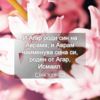 Picture 05 - Битие 16:15 BULG - И Агар роди син на Аврама; и - Bible Verse Picture