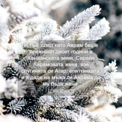 Picture 05 - Битие 16:3 BULG - И тъй, след като Аврам беше - Bible Verse Picture