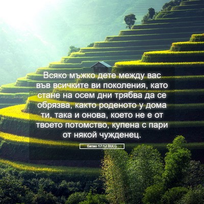 Picture 05 - Битие 17:12 BULG - Всяко мъжко дете между вас - Bible Verse Picture