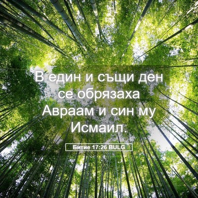 Picture 05 - Битие 17:26 BULG - В един и същи ден се - Bible Verse Picture