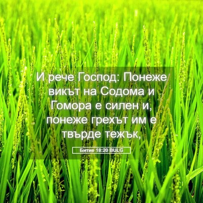 Picture 05 - Битие 18:20 BULG - И рече Господ: Понеже викът - Bible Verse Picture
