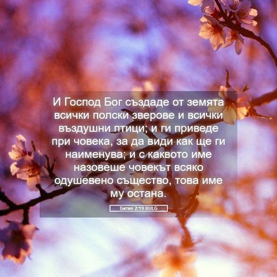Picture 05 - Битие 2:19 BULG - И Господ Бог създаде от - Bible Verse Picture