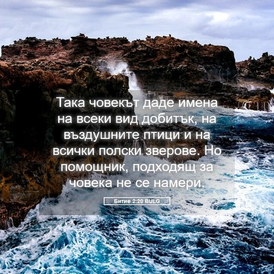 Picture 05 - Битие 2:20 BULG - Така човекът даде имена на - Bible Verse Picture