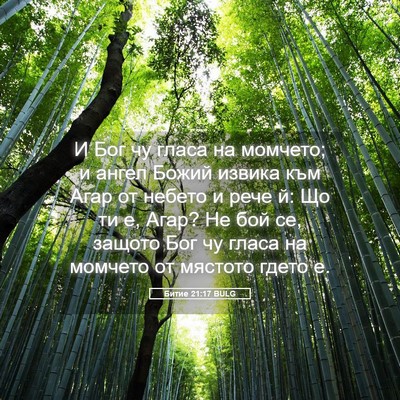 Picture 05 - Битие 21:17 BULG - И Бог чу гласа на момчето; и - Bible Verse Picture